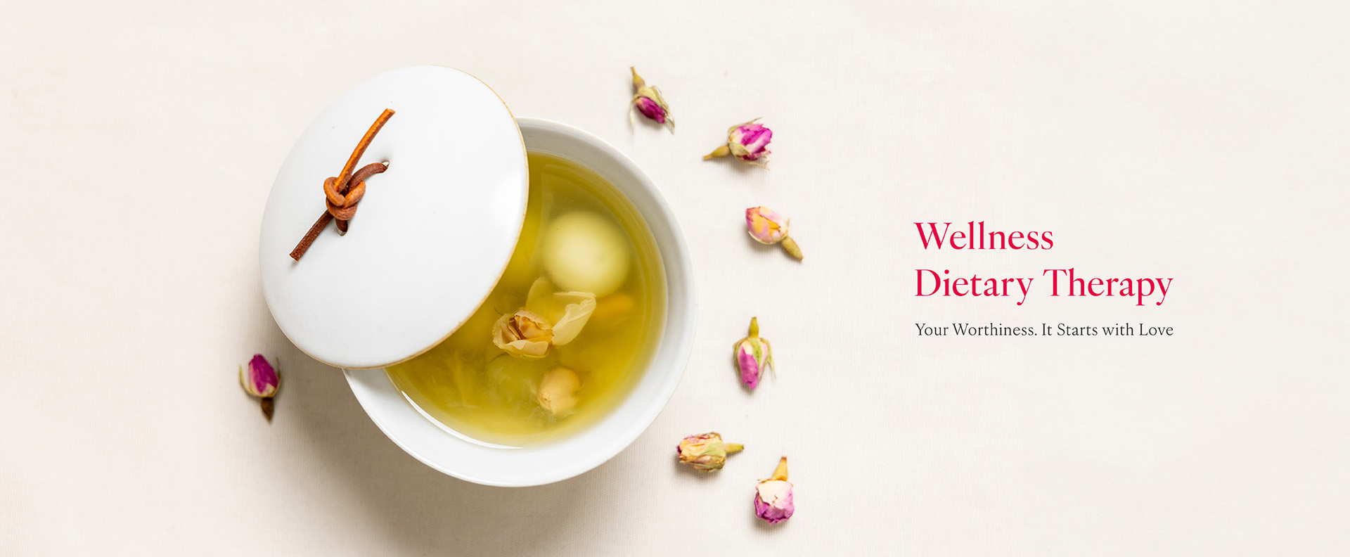 Wellness Dietary Theraphy