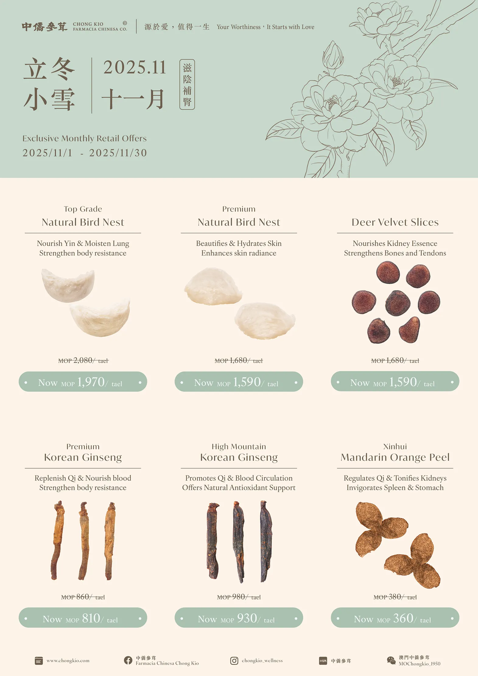 2025.11 | Nourish Yin & Tonify Kidney