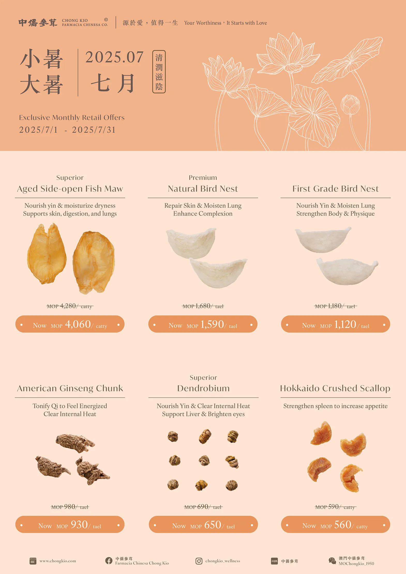 2025.07 | Clearing Heat & Tonification