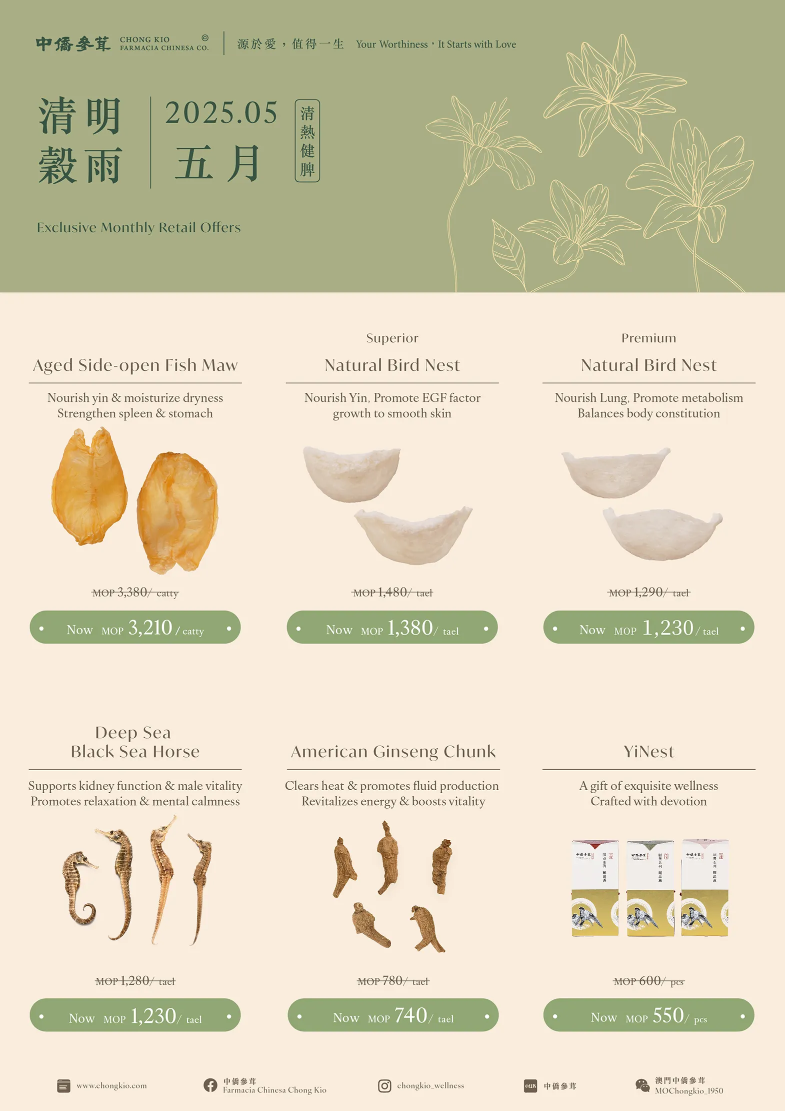 2025.05 | Clearing & Support Spleen