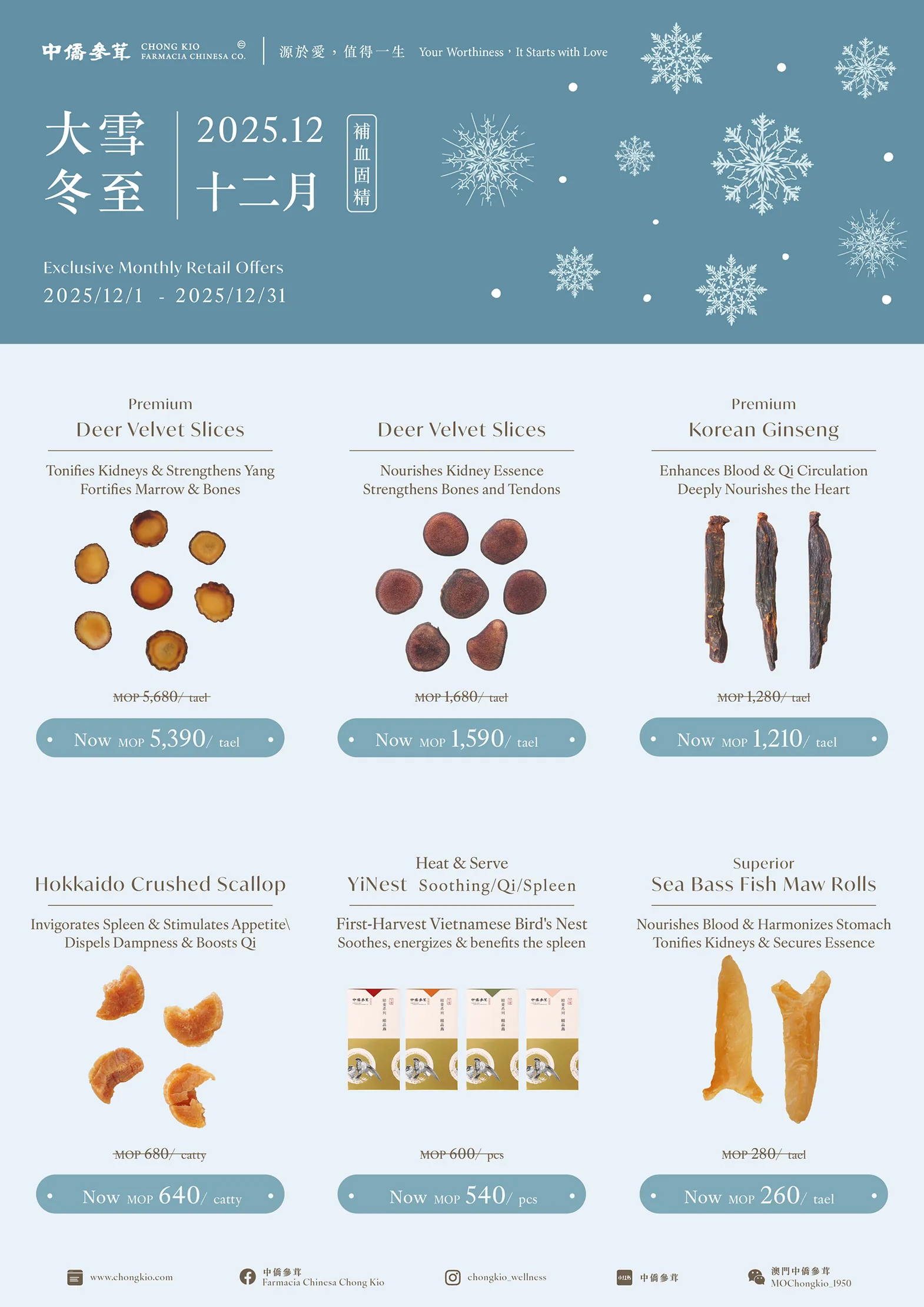 2025.12 | Nourish Blood & Strengthen Essence