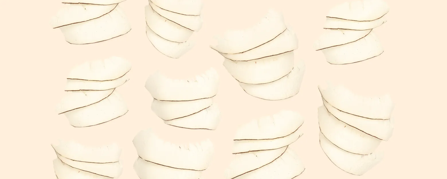 Web_海底椰_Banner_1560x624px_3