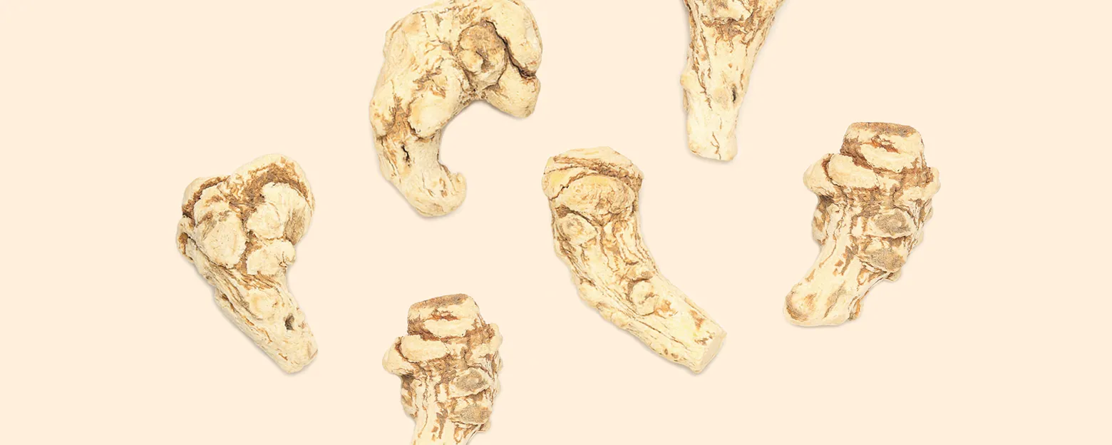 Web_當歸_Banner_1560x624px_3