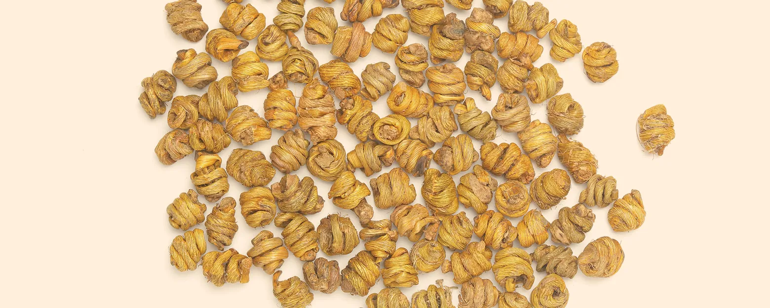 Web_石斛_Banner_1560x624px_3