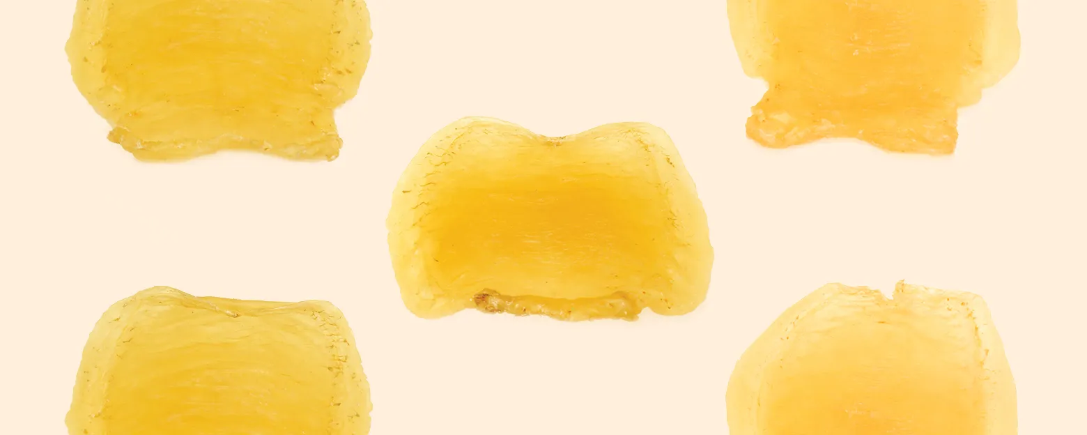 Web_花膠_Banner_1560x624px_2