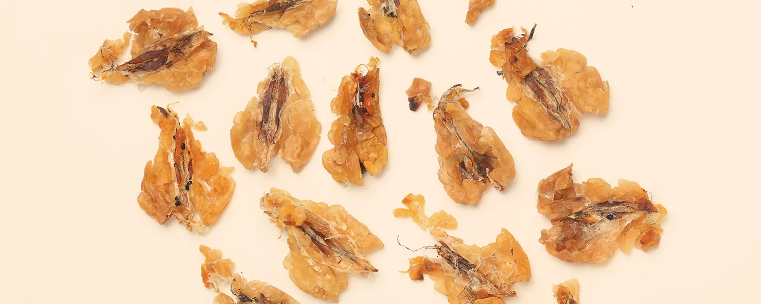 Web_雪蛤膏_Banner_1560x624px_2