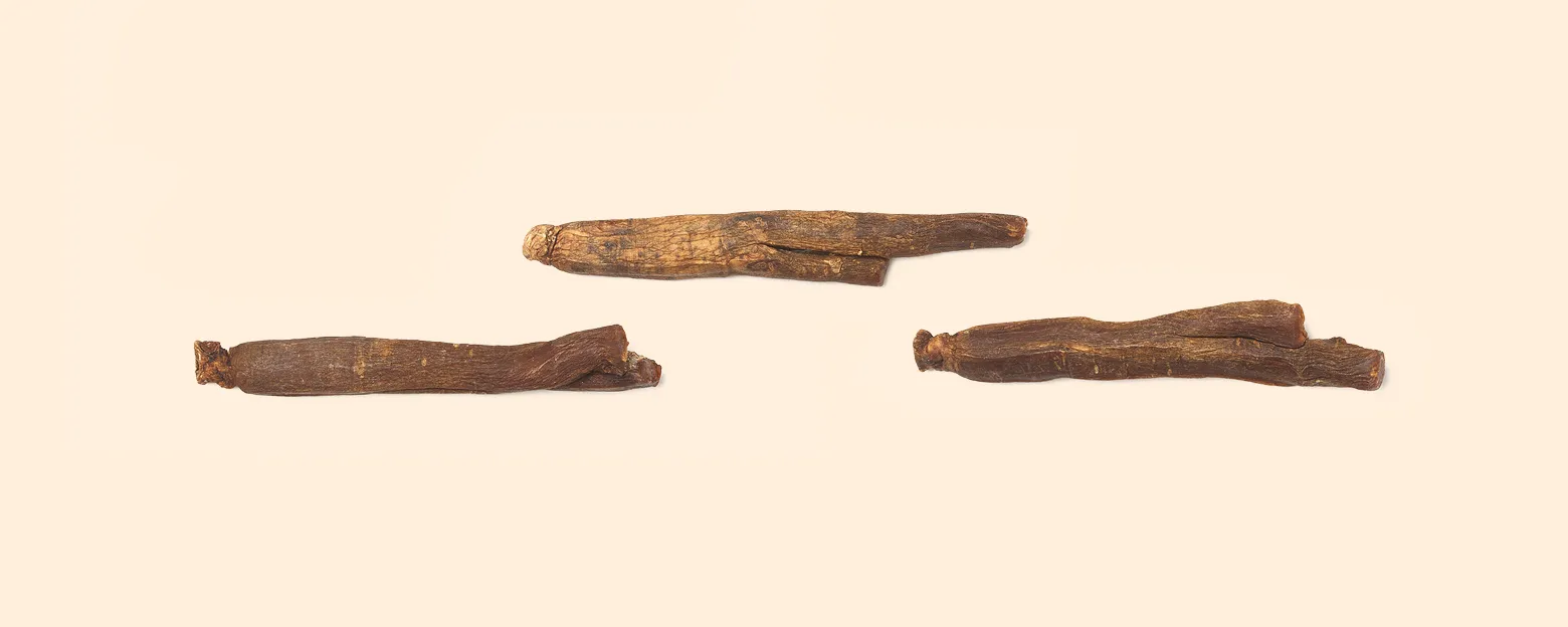 Web_高麗參_Banner_1560x624px_2