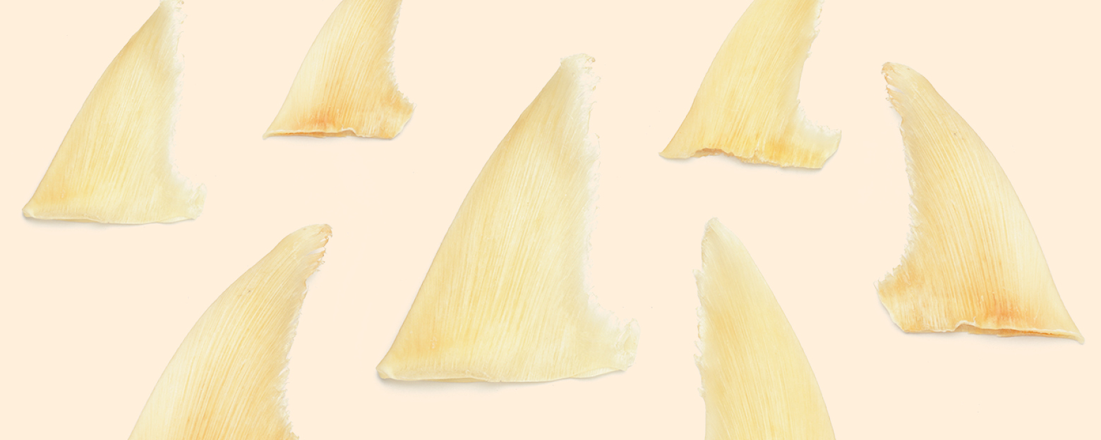 Web_魚翅_Banner_1560x624px_5