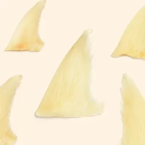 Shark Fin