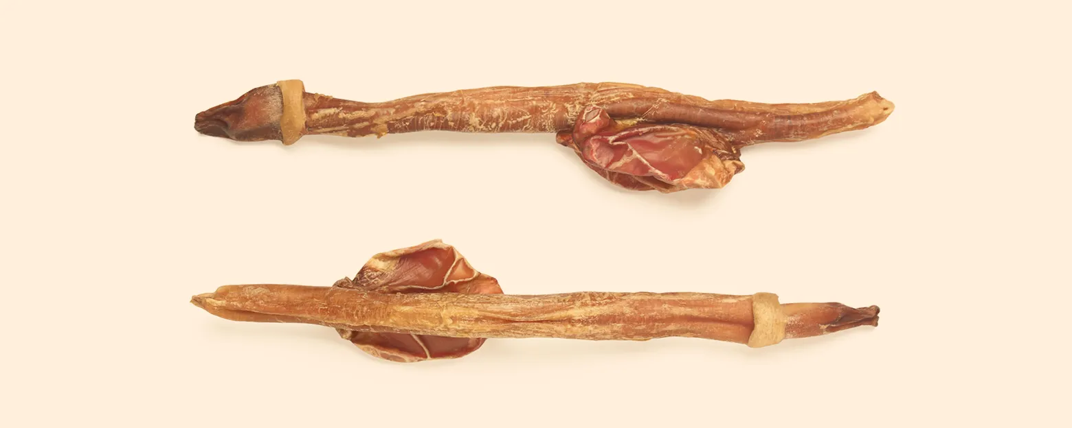 Web_鹿鞭_Banner_1560x624px_2