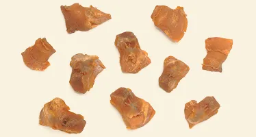 海螺頭_養生品百科_Page Banner_374_20016