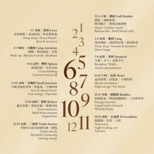 Unlock the secrets & discover the harmony of the 12 Divisions