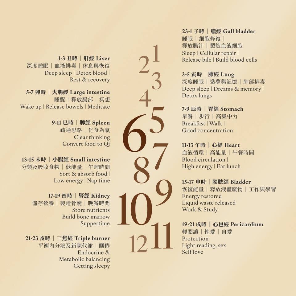 Unlock the secrets & discover the harmony of the 12 Divisions