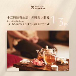 Unlocking Wellness | 8th Division & The Small Intestine