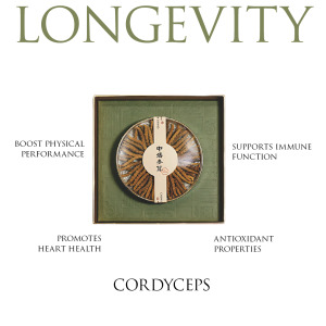 Cordyceps | The Ancient Key to Modern Vitality