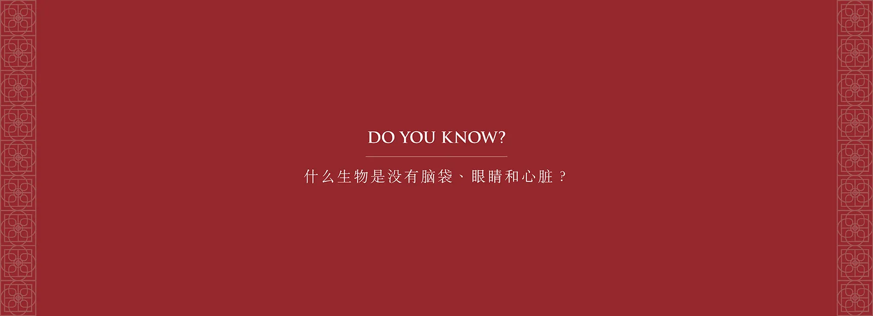 Product Encyclopedia